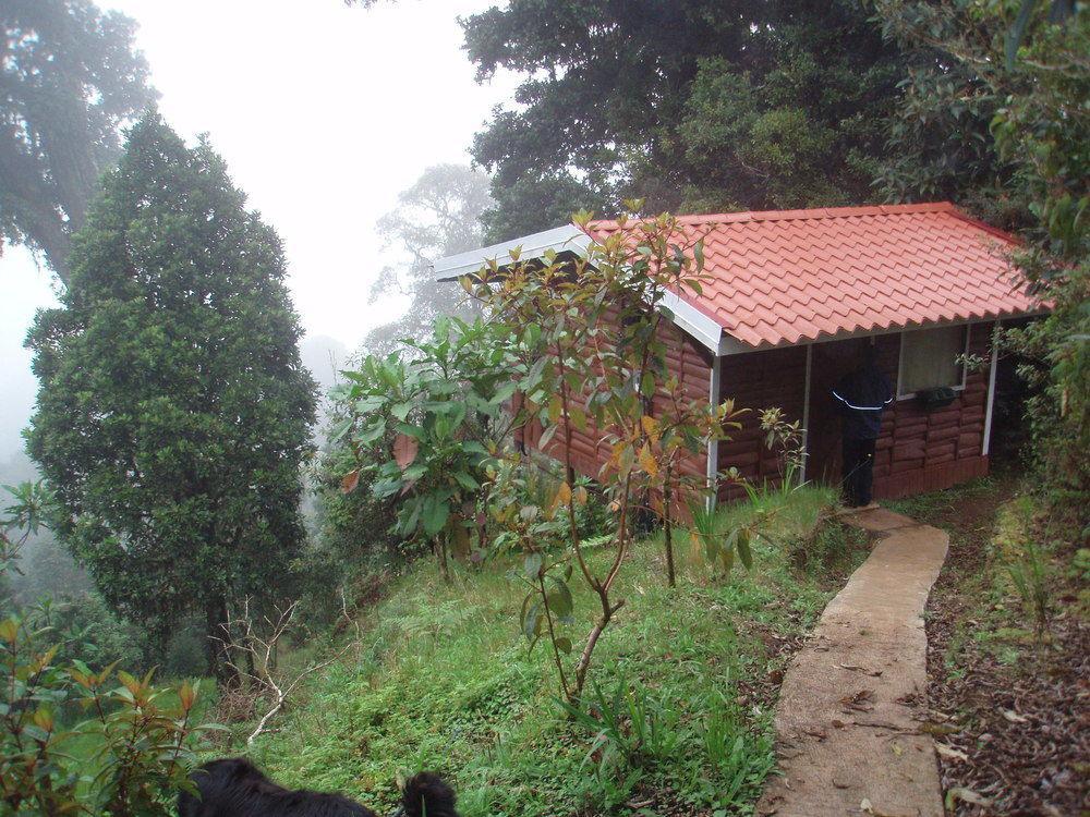 Paraiso Quetzal Lodge Tres de Junio Bagian luar foto
