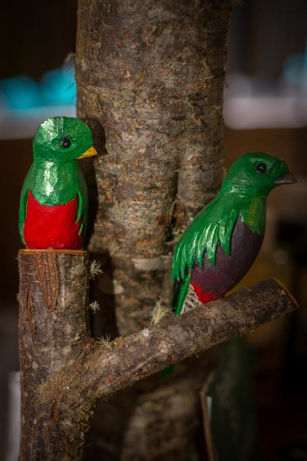 Paraiso Quetzal Lodge Tres de Junio Bagian luar foto
