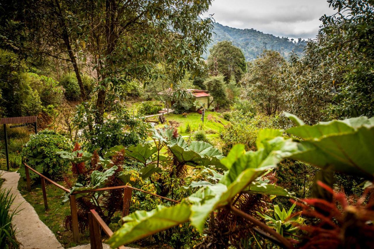 Paraiso Quetzal Lodge Tres de Junio Bagian luar foto